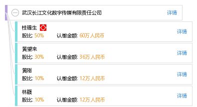 武汉长江文化数字传媒有限责任公司