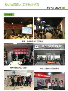 重庆数字媒体应用技术专业介绍 传媒与设计学院 重庆工商职业学院